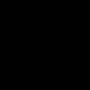 Meet your Posher, Payton